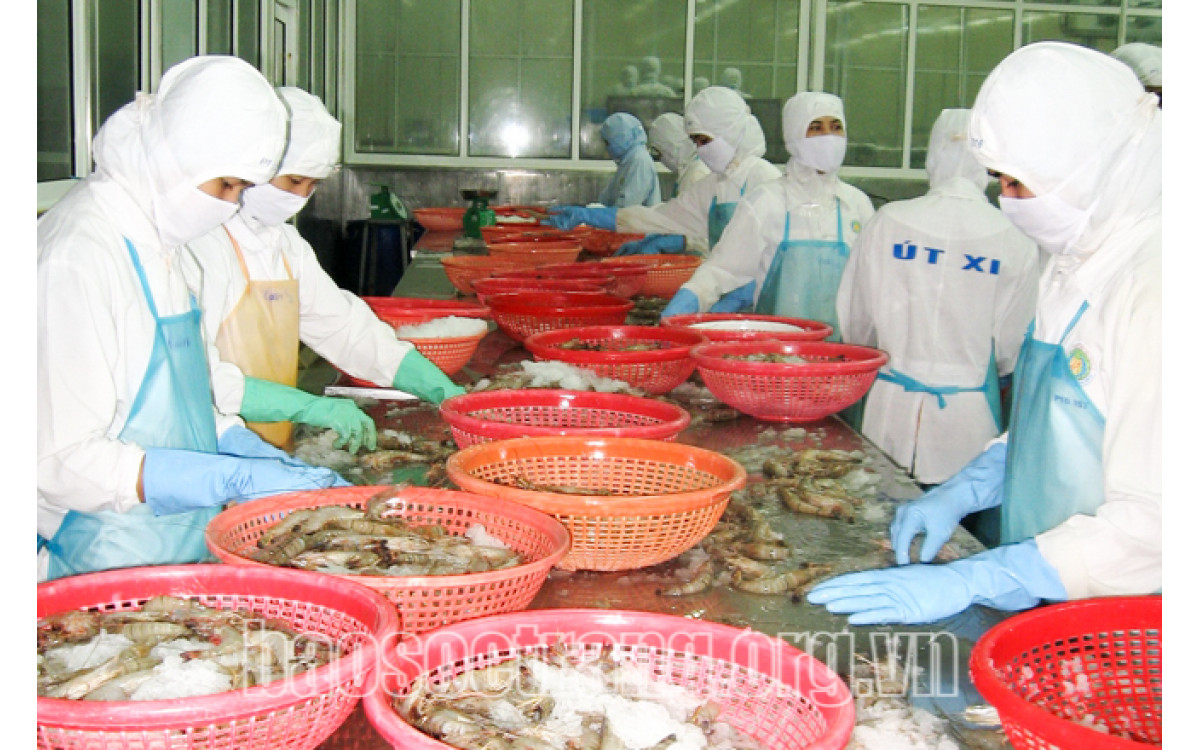 Chuẩn bị tốt, xuất khẩu sẽ thuận lợi